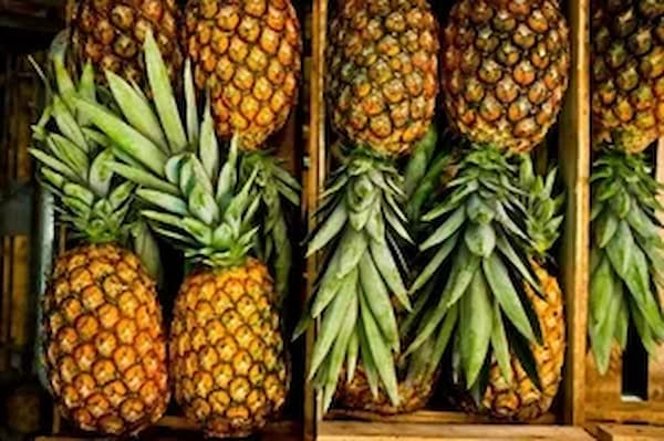 تصویر 4 از قیمت خرید آناناس خشک صادراتی + فروش ویژه